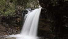 Hilton Falls May 2018